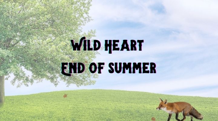Wild Heart End of Summer over image of tree, sky, grass and fox