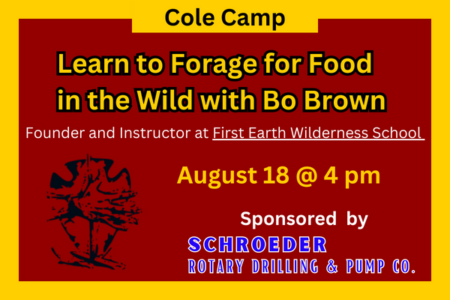 Learn to Forage for Food in the Wild