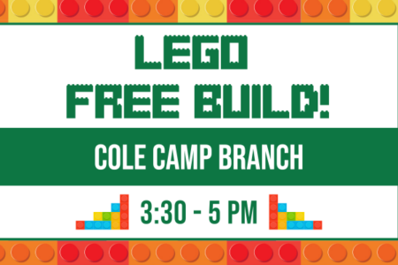 LEGO Free Build!
