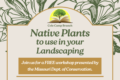 Native Plants Workshop