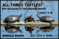 All Things Turtles with Tim Haller