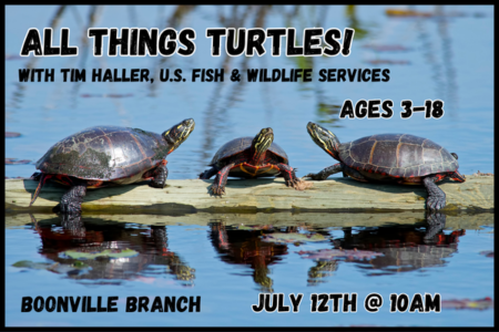 All Things Turtles with Tim Haller
