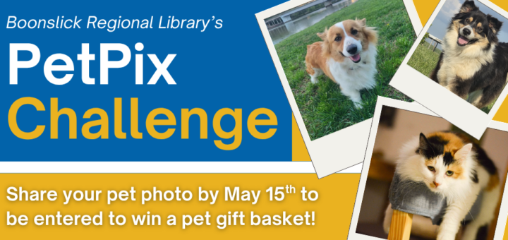 pet pix challenge announcement