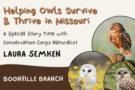 Owl Story Time