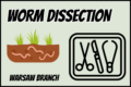 Worm Dissection