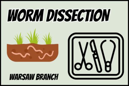 Worm Dissection
