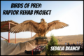 Birds of Prey: Raptor Rehab Project