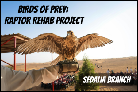 Birds of Prey: Raptor Rehab Project