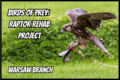 Birds of Prey: Raptor Rehab Project
