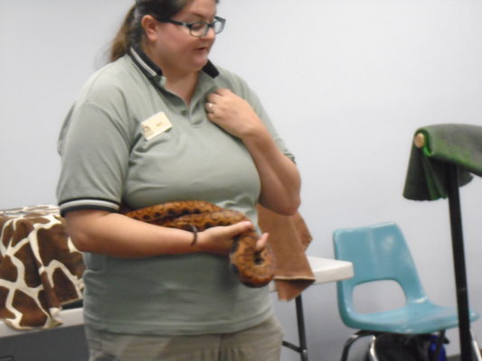 Zoo Staff holding a snake
