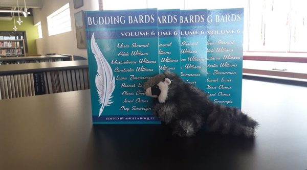 small toy racoon posed in front of 4 colorful books containing teen authored short stories