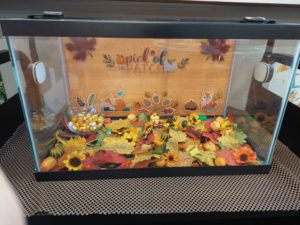 Photo of an aquarium filled with orange, red, yellow, items for fall