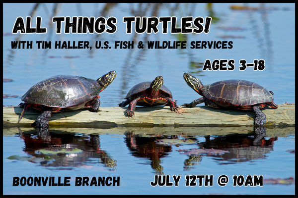 All Things Turtles with Tim Haller