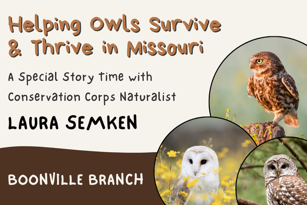 Owl Story Time