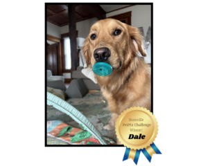 boonville petpix winner
