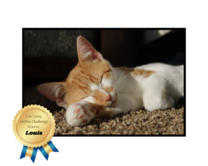 cole camp petpix winner