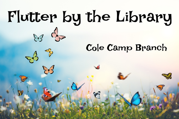 Flutter by the Library