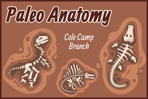 Paleo Anatomy