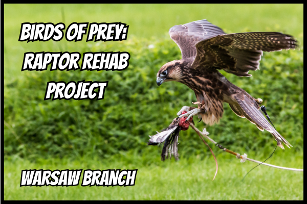 Birds of Prey: Raptor Rehab Project